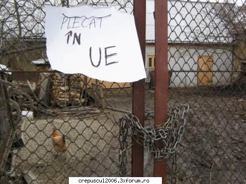 :) inedite in drum spre  ue